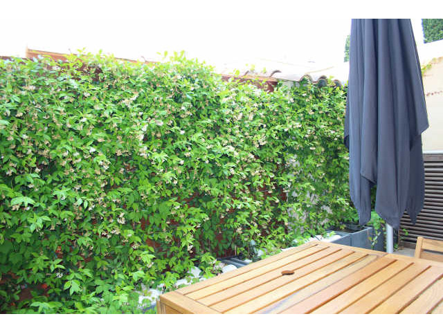  Location duplex rnov 